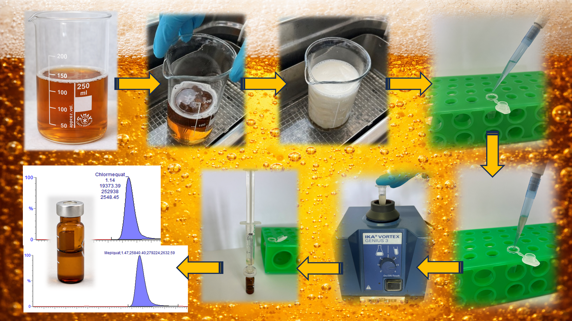 Cover image (Source: author's photos; background generated with ChatGPT)