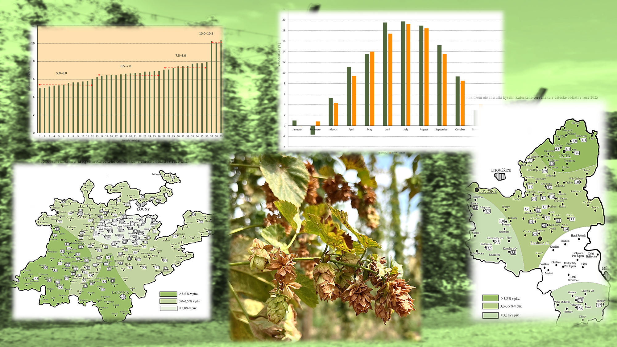 Illustration Image (Source: authors pictures and pixabay)